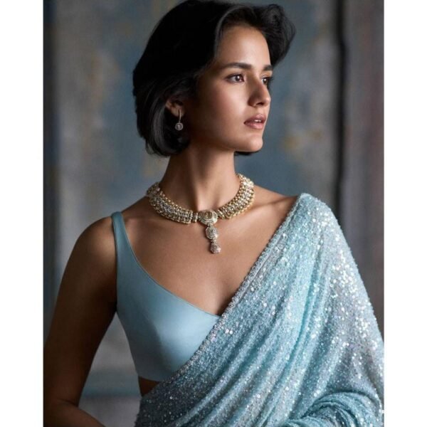 Sky Blue Georgette Saree, Sequin Embroidery, Cutwork Lace Border